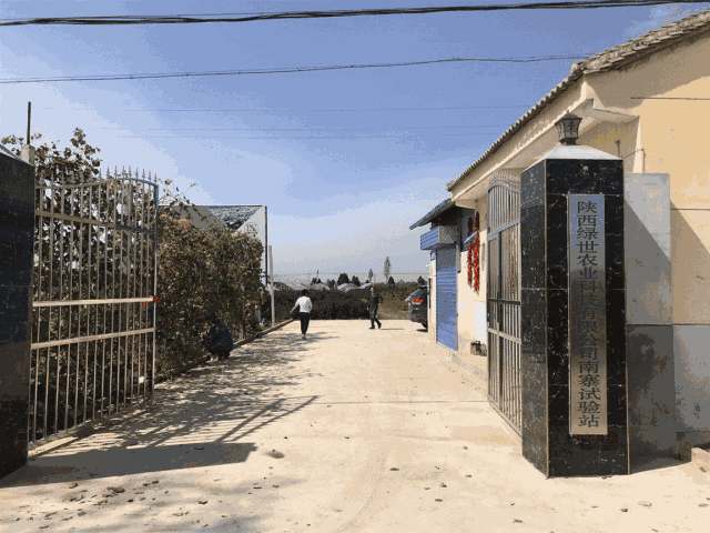 宝鸡轩苑世家步行街尾尾鲜酸菜鱼庆重阳，老人79折吃鱼