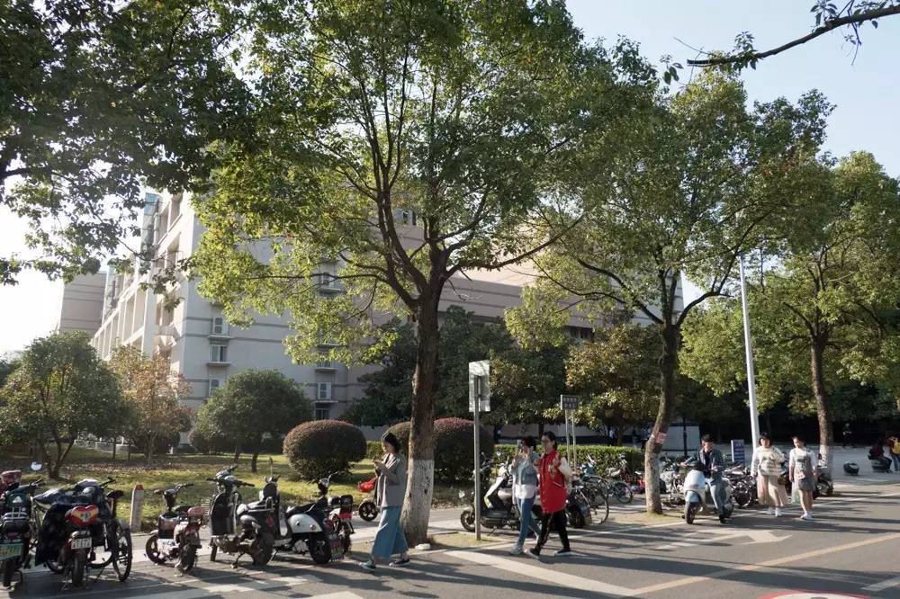 徕卡大光圈镜头配4K全家桶，松下LX10相机の详细测评