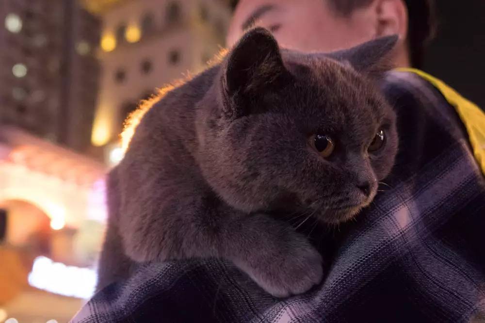 徕卡大光圈镜头配4K全家桶，松下LX10相机の详细测评