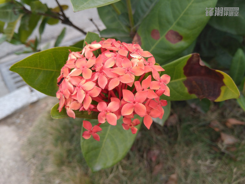 曾经有一种情怀，它的名字叫诺基亚：Nokia 6详细评测