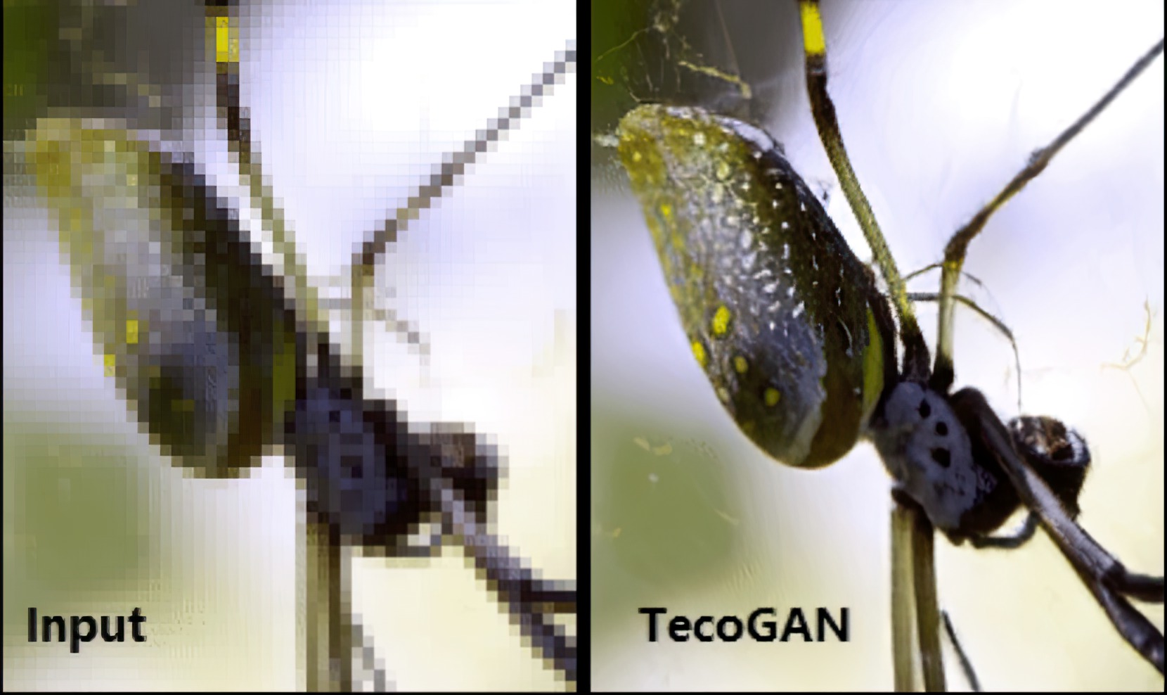 被打上马赛克的视频还能还原清晰吗？