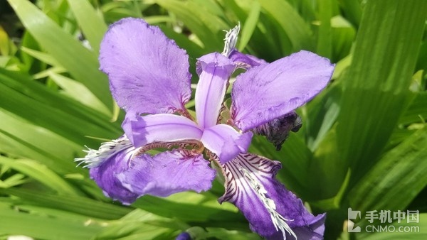 骁龙810八核强机 小米Note顶配版评测