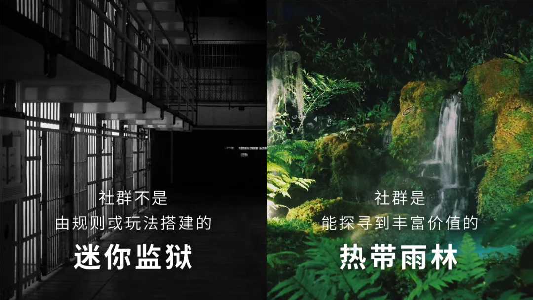 互联网黑话之“私域社群”到底怎么玩？