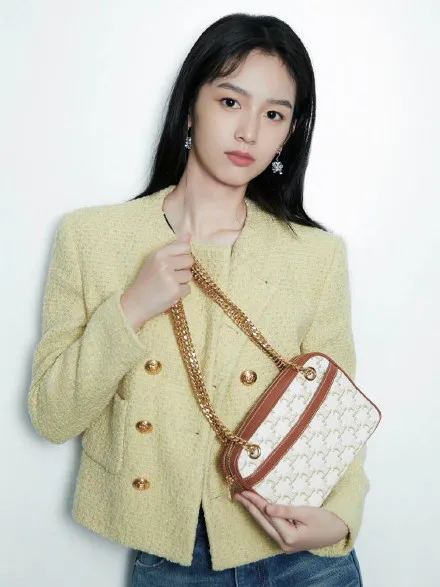 怀念经典的 CELINE 包有哪些？这13个盲买不后悔