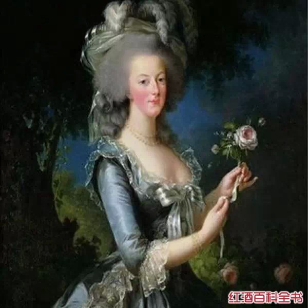 解析｜十大法国传统甜点身世内涵