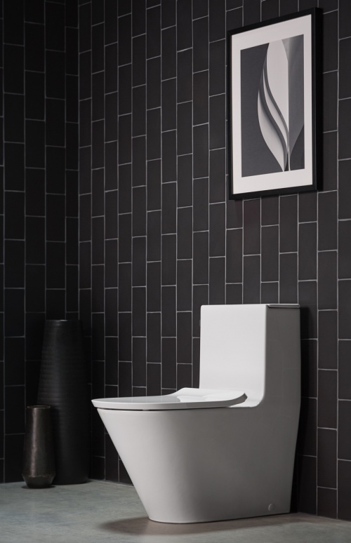 科勒精选凌越丽裙版五级旋风360连体座便器 突破限定，简而不凡