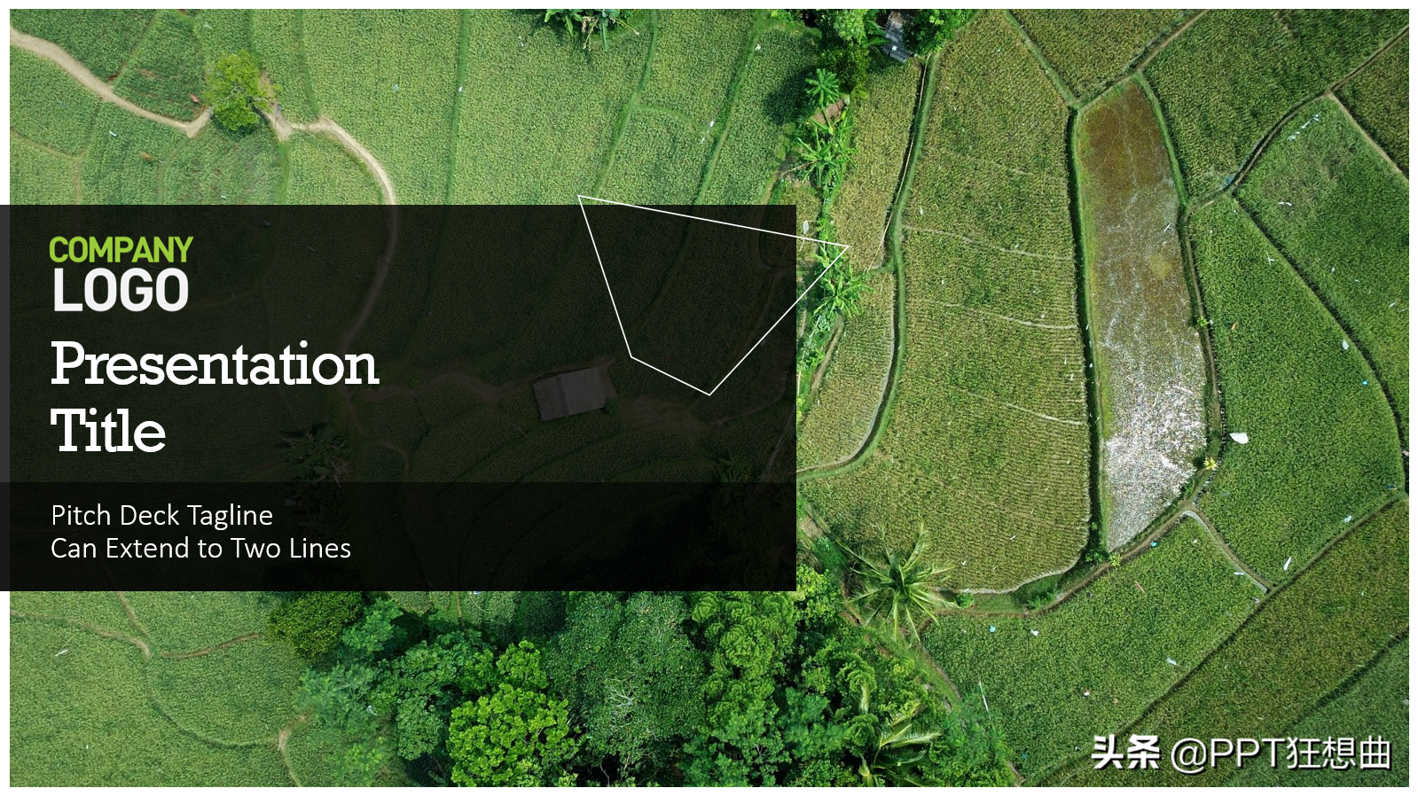 做PPT无从下手？72份微软官方出品的PPT模板，免费还巨惊艳