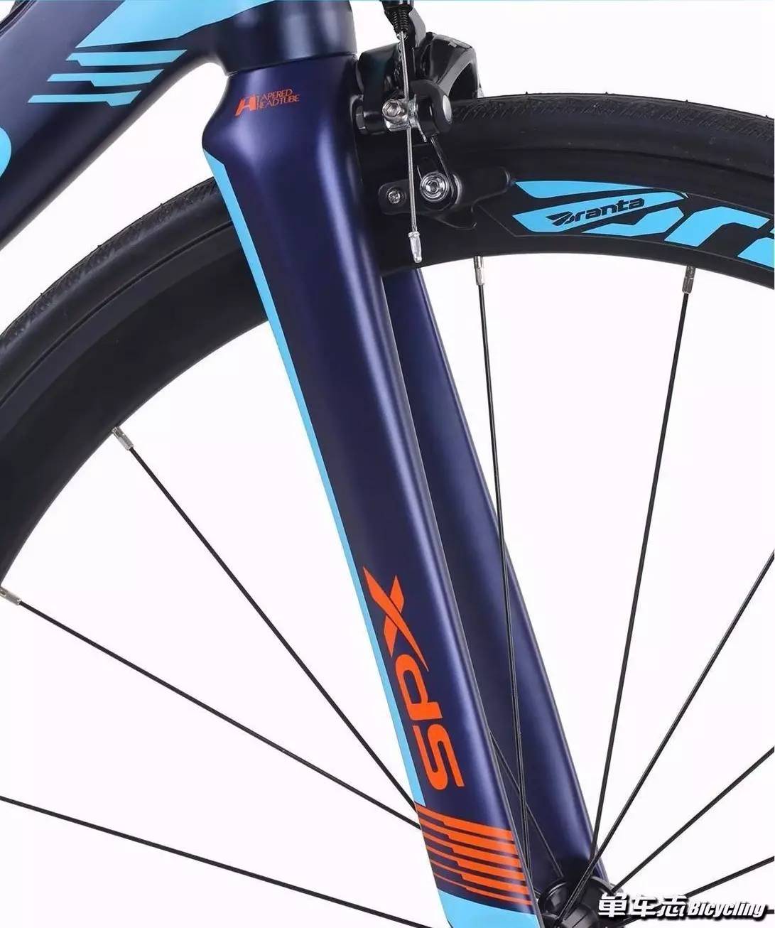 喜德盛RF550——专业进阶级公路车！