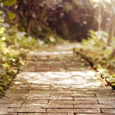 Apple watch真的能插电话卡了？