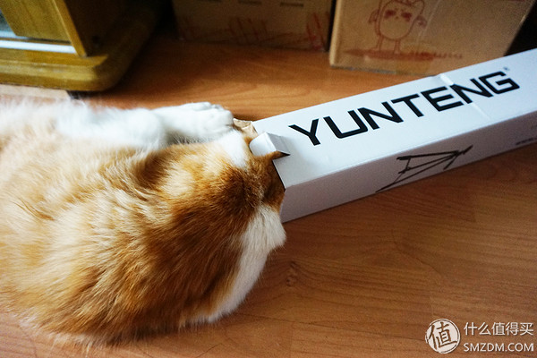 带上它去旅行，云腾VCT-520RM三脚架开箱