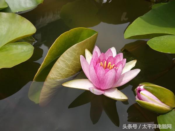 小米5X评测：配置依然发烧，但入手需斟酌