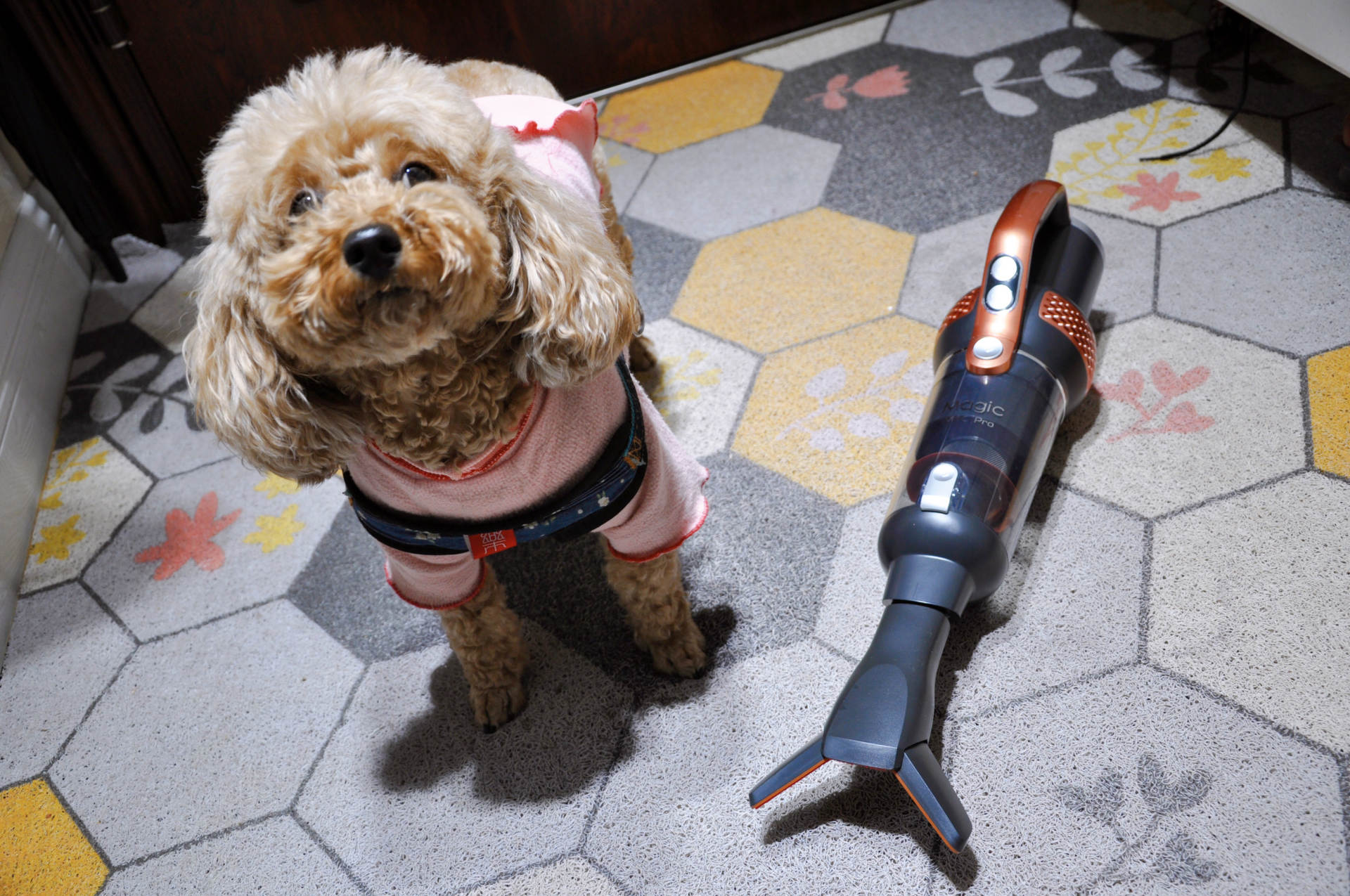 大扫除原来如此轻松，莱克魔洁无线吸尘器M10Pro上手体验