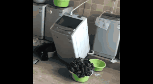 洗完就能穿？体验洗烘一体机日立BD-NX100GHC洗衣机