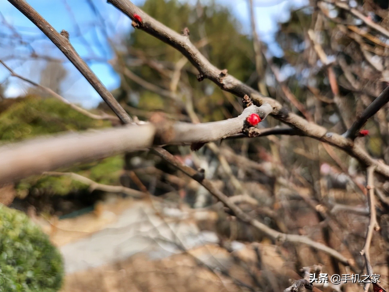 三星Galaxy S22+评测：是你现在能买到的最均衡的安卓旗舰