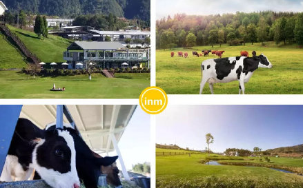 一鸣真鲜奶加盟门槛高吗？需要哪些加盟条件？