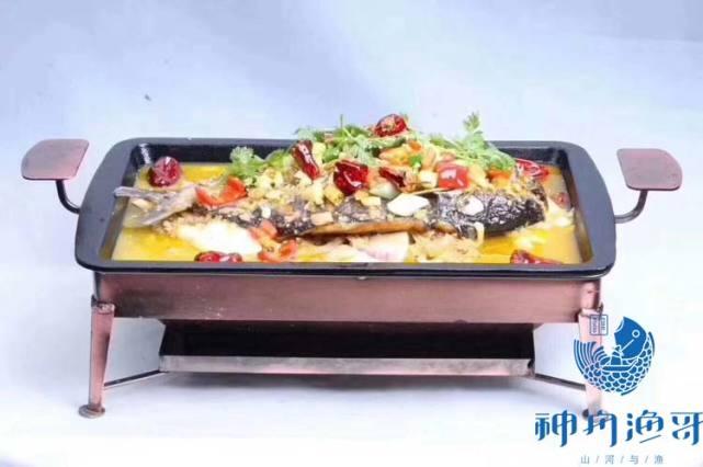 来看一看神舟渔哥跟探鱼的加盟费对比是什么