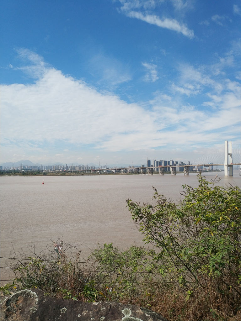 我要在演唱会上找个小蜜蜂：博冠星狼望远镜