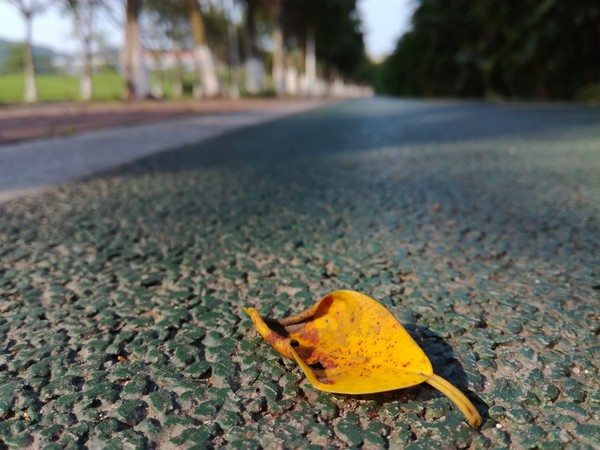 荣耀畅玩5C评测:看千元机还有什么“芯”玩法！