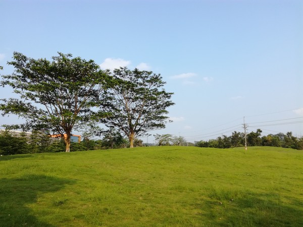 荣耀畅玩5C评测:看千元机还有什么“芯”玩法！