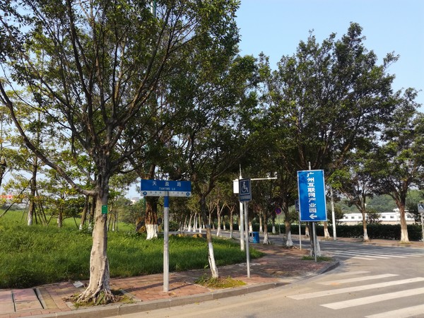 荣耀畅玩5C评测:看千元机还有什么“芯”玩法！