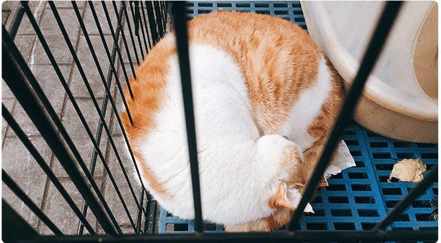 去了这家口碑很不错的土鸡米线，结果发现它把一家店开垮了