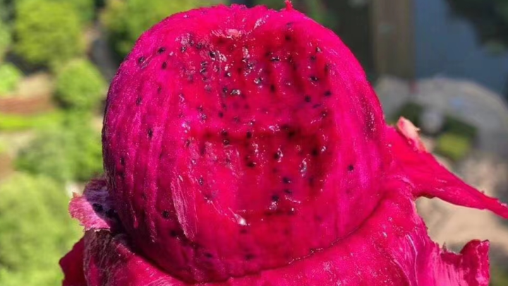 开个水果店需要投资多少钱，投资一个水果店需要多少钱