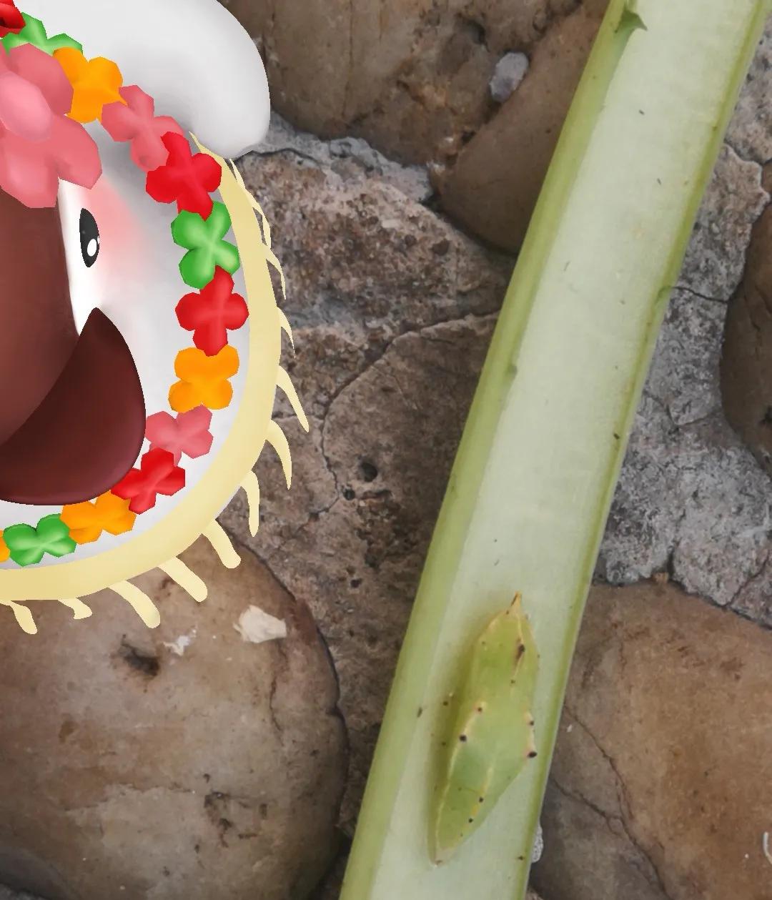 新春杂谈之二-穿新衣