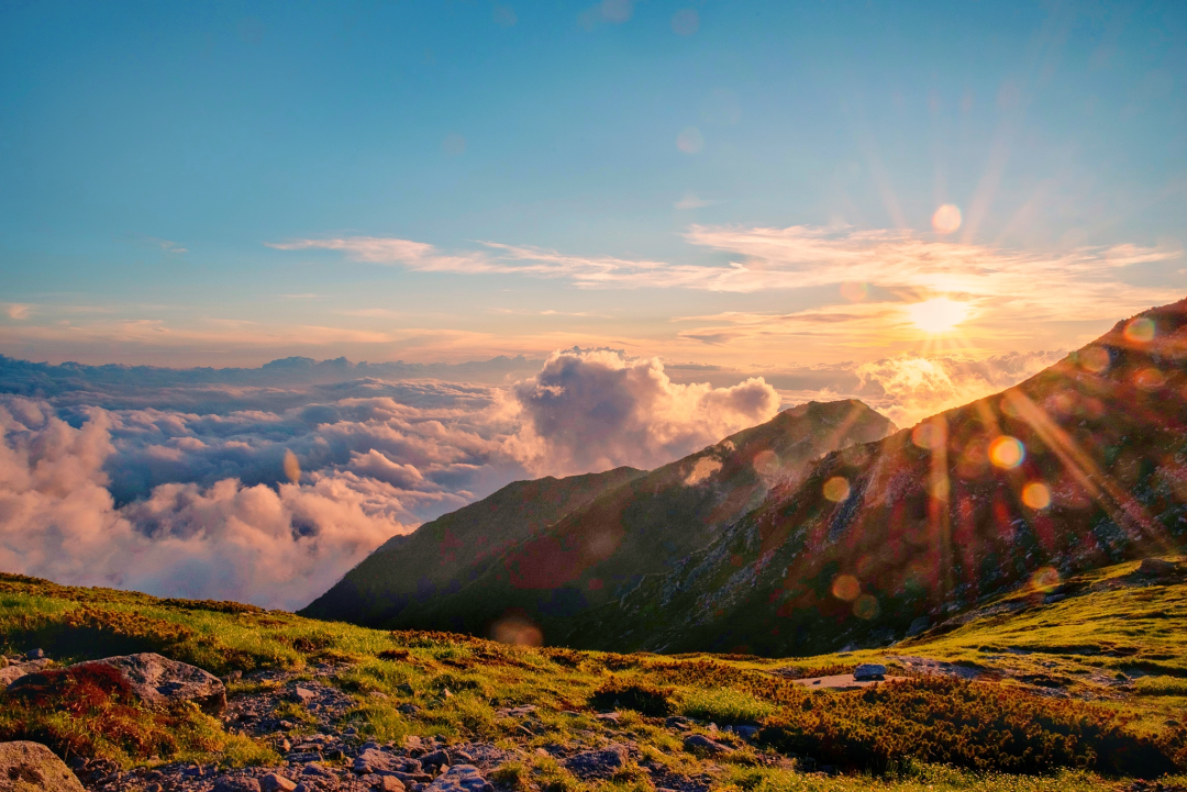 Snapseed，最好的手机入门修图工具