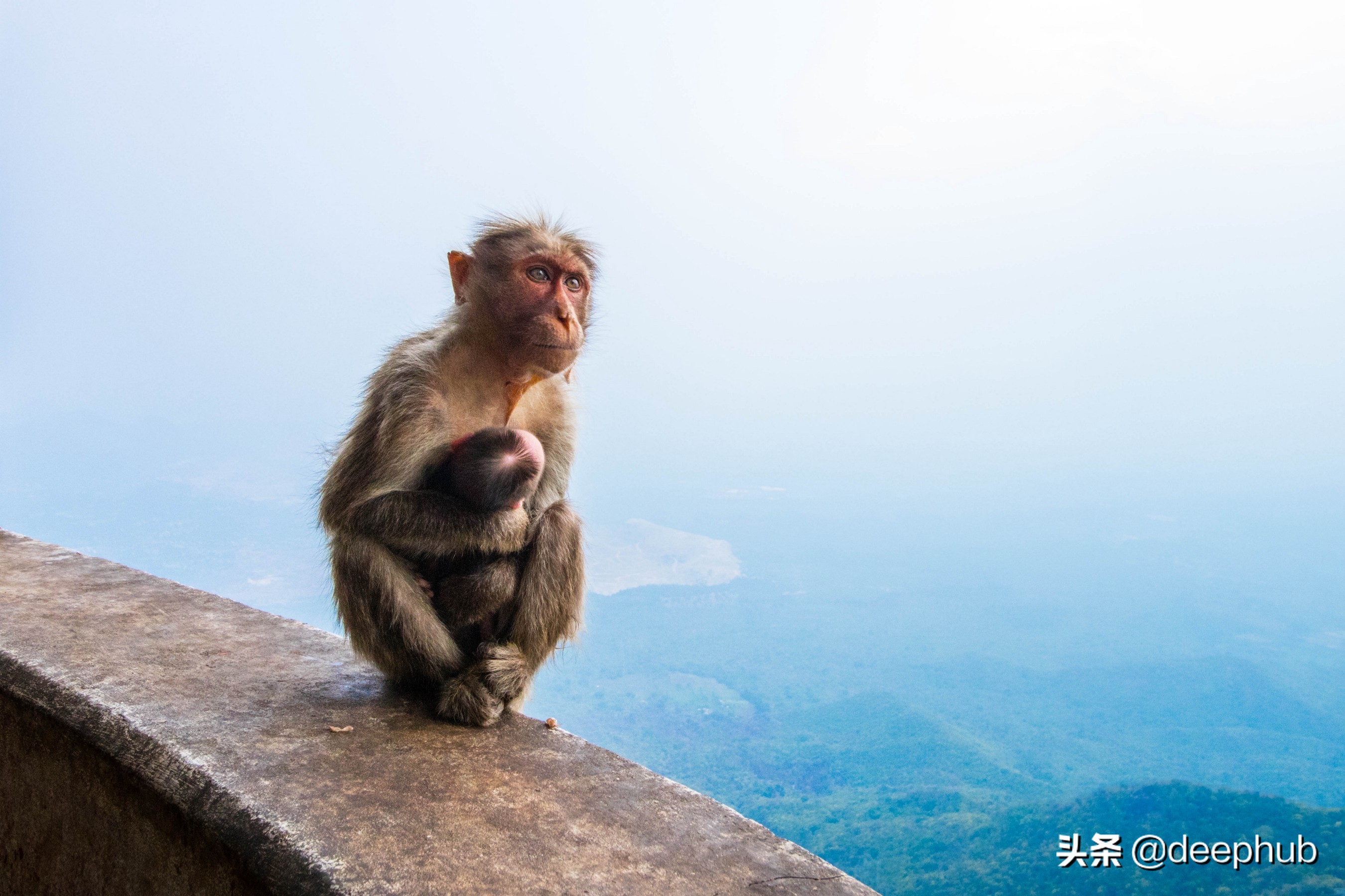 5分钟内了解Canny边缘检测
