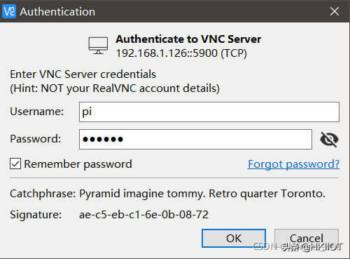 虹科工业树莓派结合VNC Viewer实现远程桌面配置