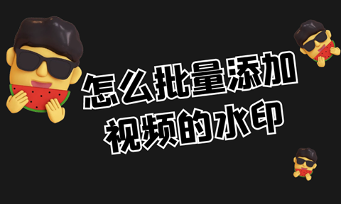 怎么样给视频批量添加水印