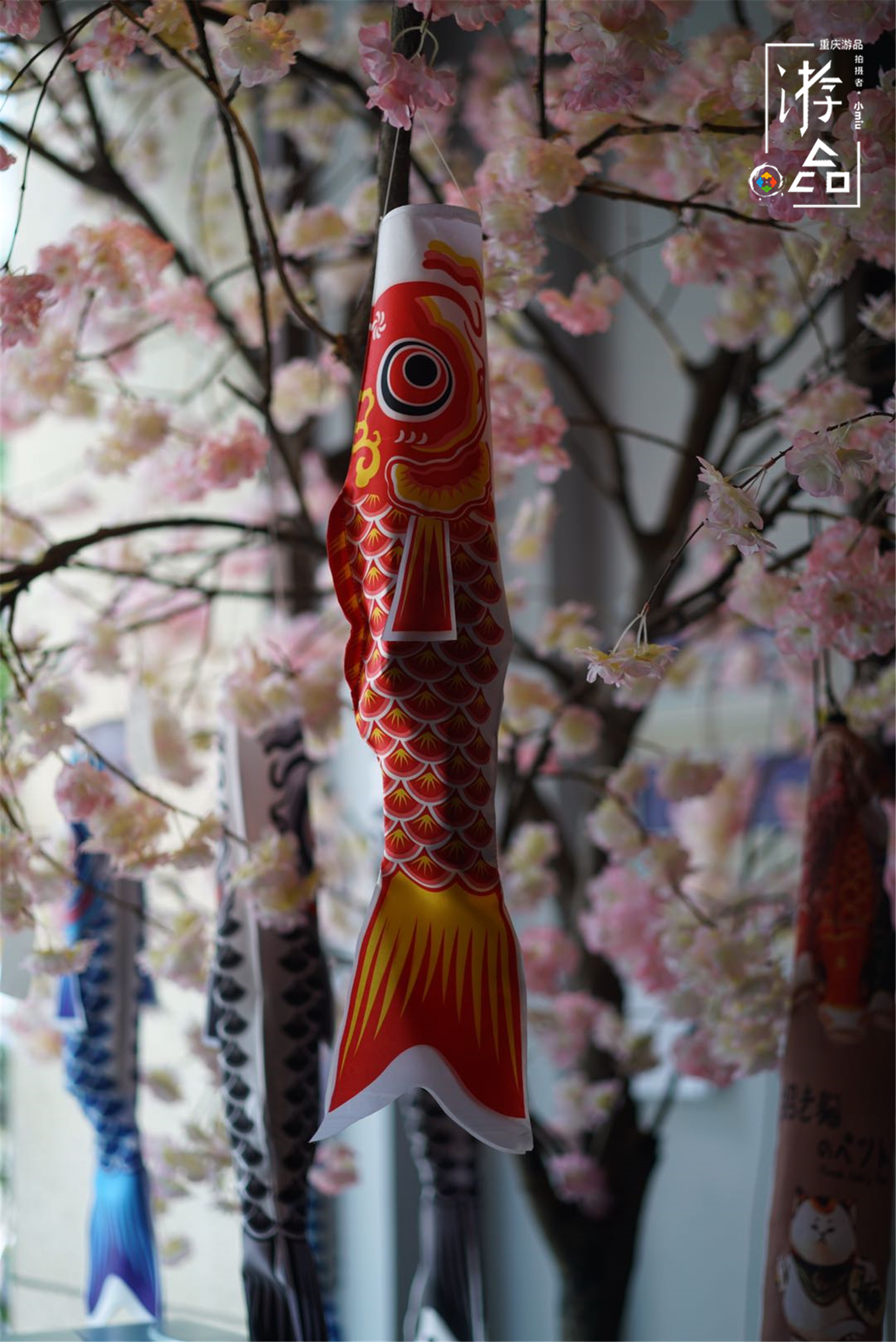 只开连锁不加盟，充满傲气的居酒屋，入选年度必吃榜是花钱买的？