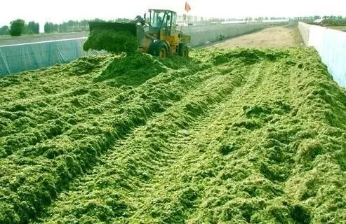 目前农村，投资在10万元以内的小型加工厂，哪些项目能稳妥赚钱？