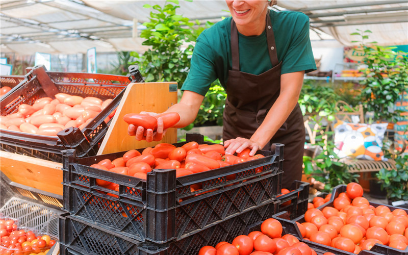 投入一万元以内的小生意，在目前市场上，有哪些能月收入七八千？