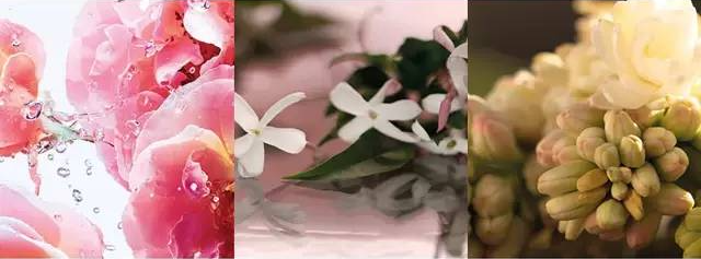 Gucci5款最受欢迎的香水，你买过其中哪一款？