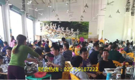 大自然醉鹅：一个美味与创收双收益的餐饮