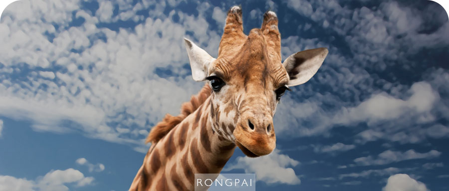 找资源就别用百度了，这六个网站能解决你的更多需求！