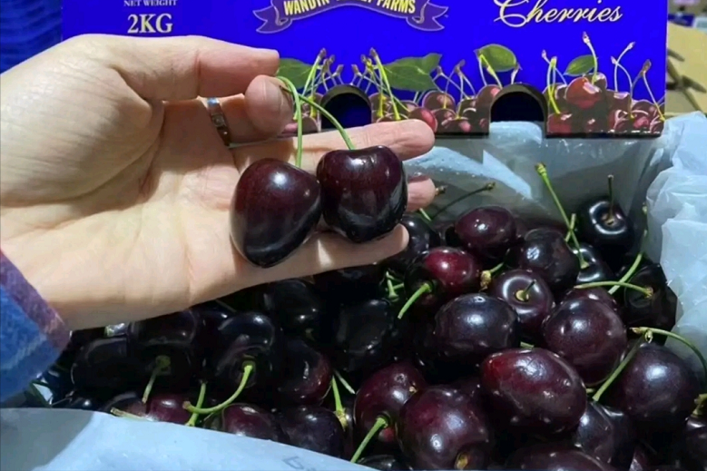 国产大樱桃放3天即坏，进口车厘子30天放不坏，这是如何保鲜的？