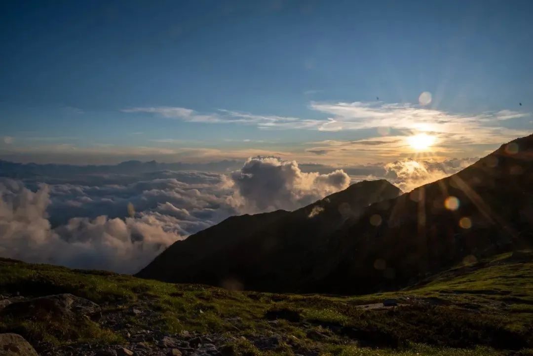 Snapseed，最好的手机入门修图工具