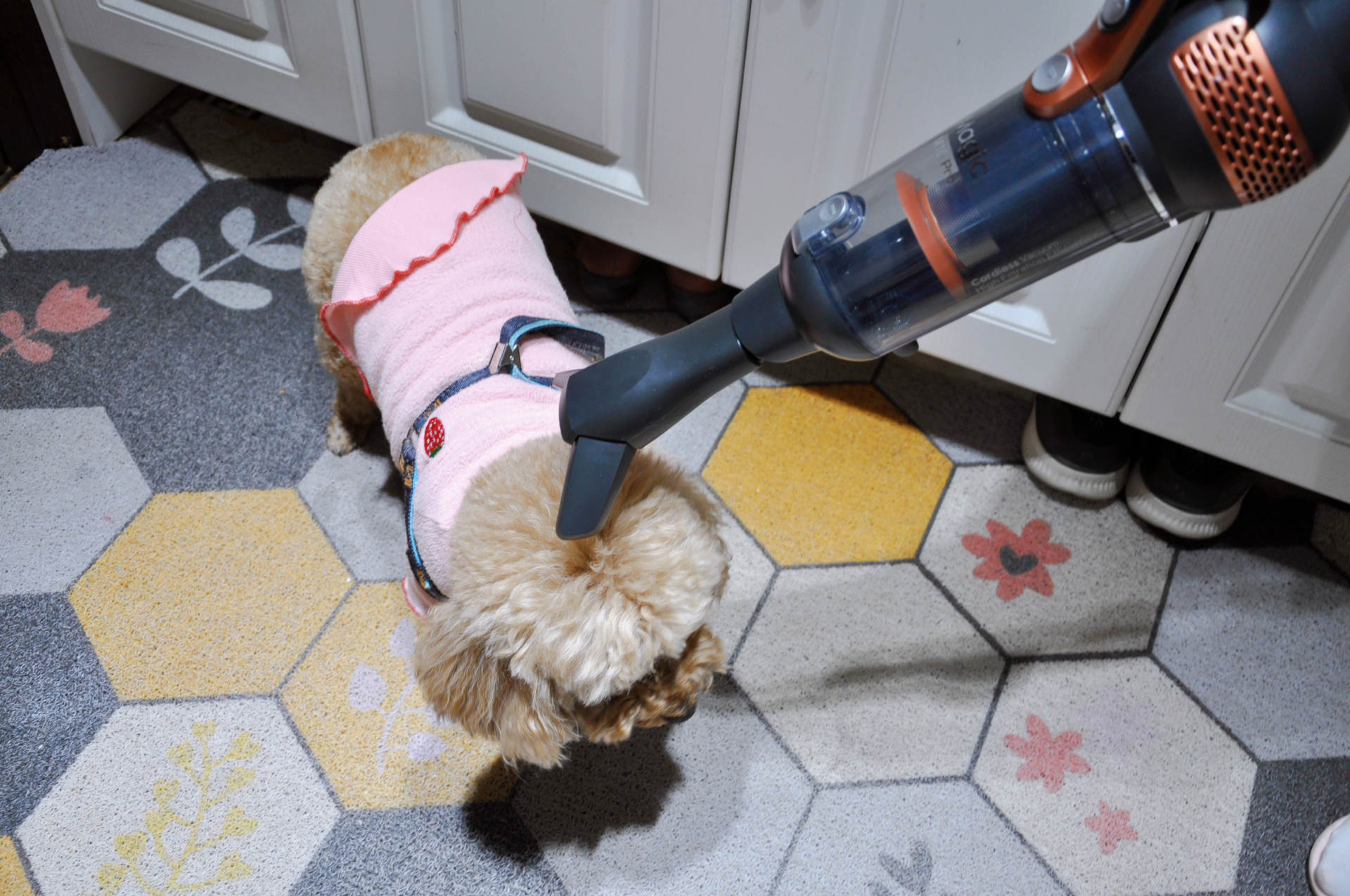 大扫除原来如此轻松，莱克魔洁无线吸尘器M10Pro上手体验