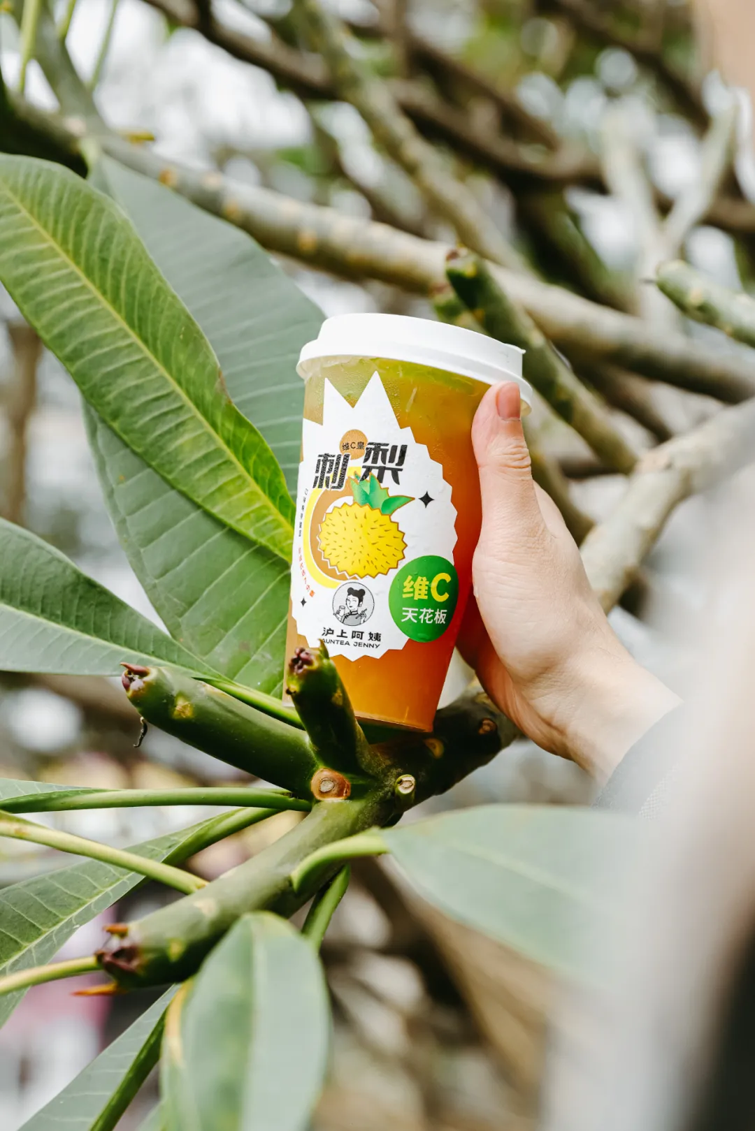 挖到一杯「刺梨鲜果茶」，小众水果居然这么火？