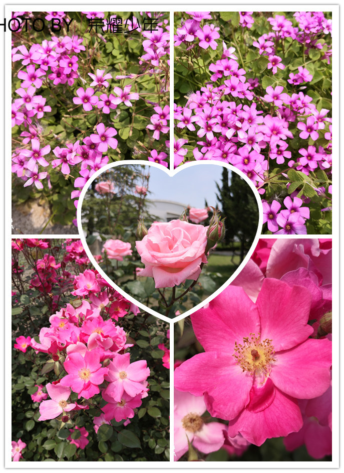 华为nova4上手测评，颜值和实力兼具