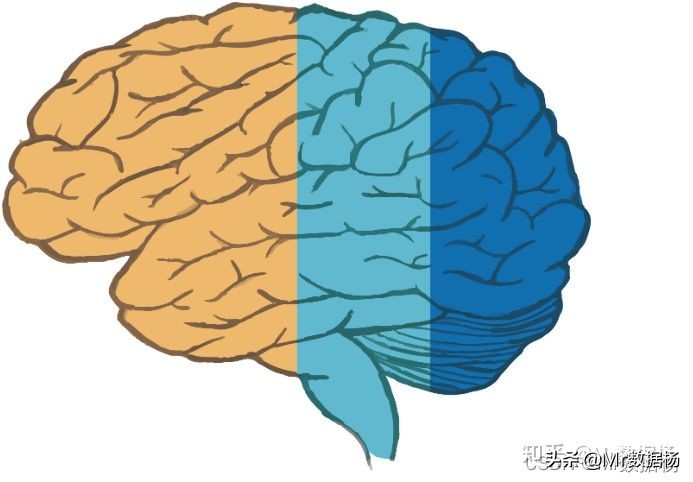 「迷你教程」掌握Xgboost损失函数构建你的完美模型