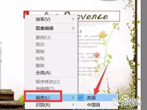 如何在电脑中安装OCR工具
