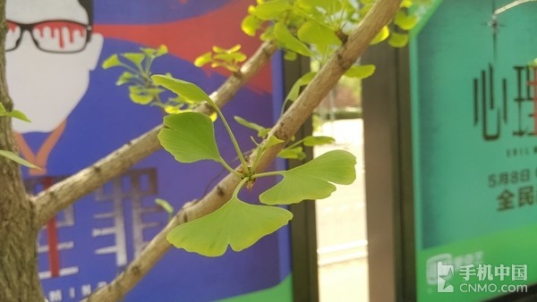 骁龙810八核强机 小米Note顶配版评测