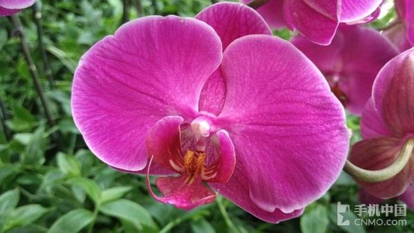 骁龙810八核强机 小米Note顶配版评测