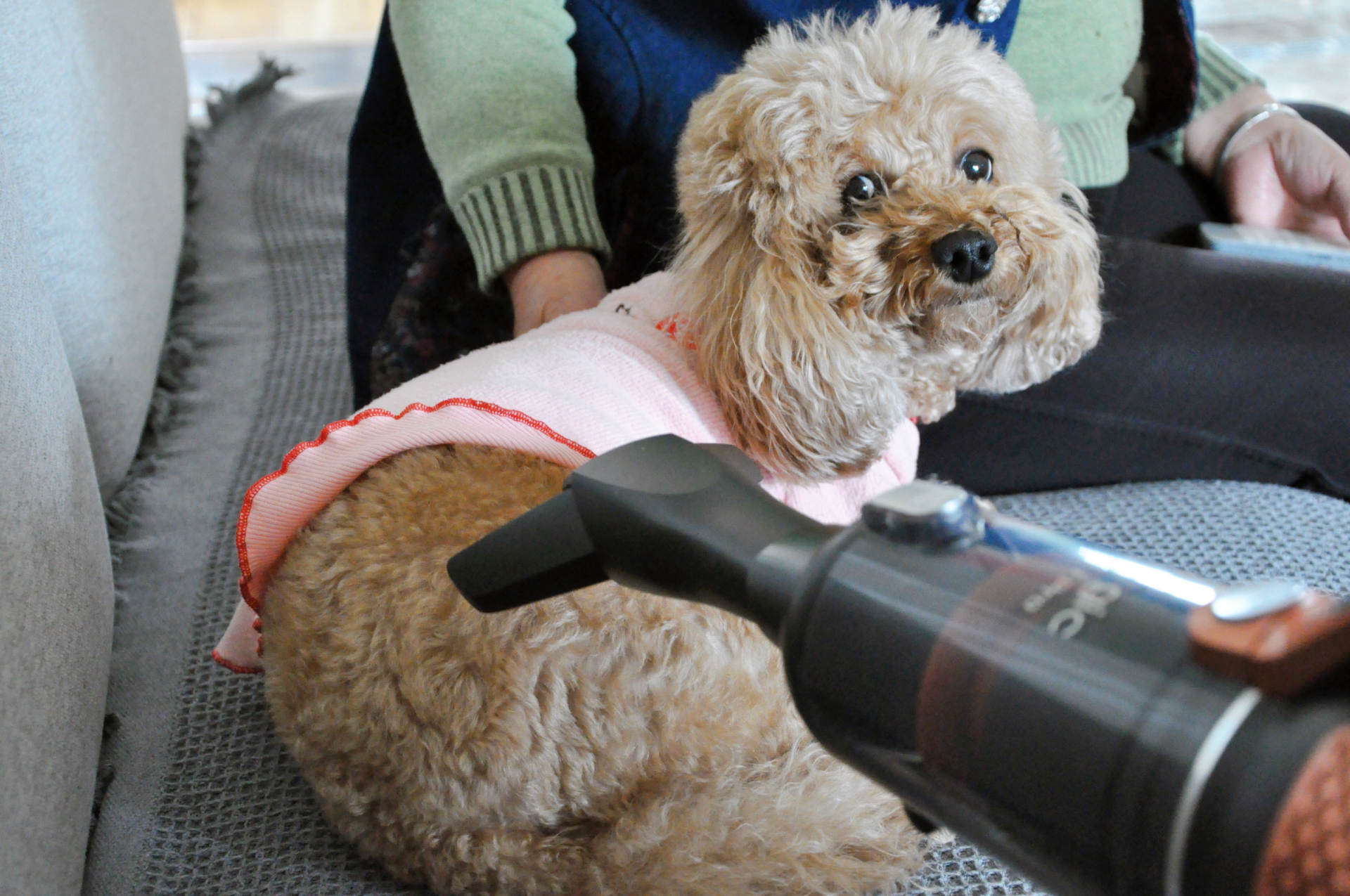 大扫除原来如此轻松，莱克魔洁无线吸尘器M10Pro上手体验