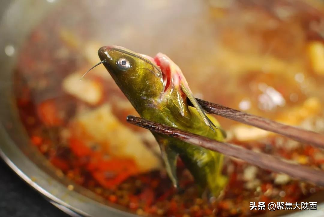 月红仟禧，一家做了19年的良心火锅店！