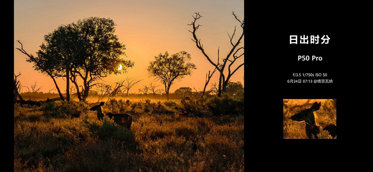有了华为P50系列，你也能轻松成为朋友圈中的摄影大师