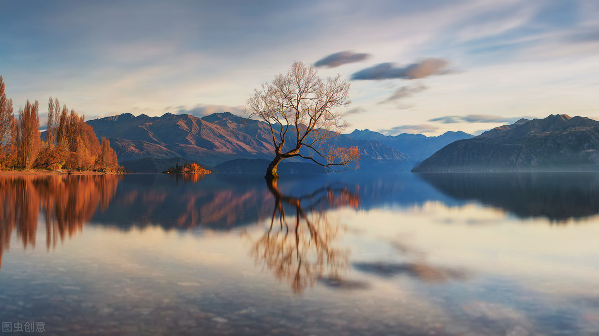 抖音短视频脚本分镜头怎么个意思